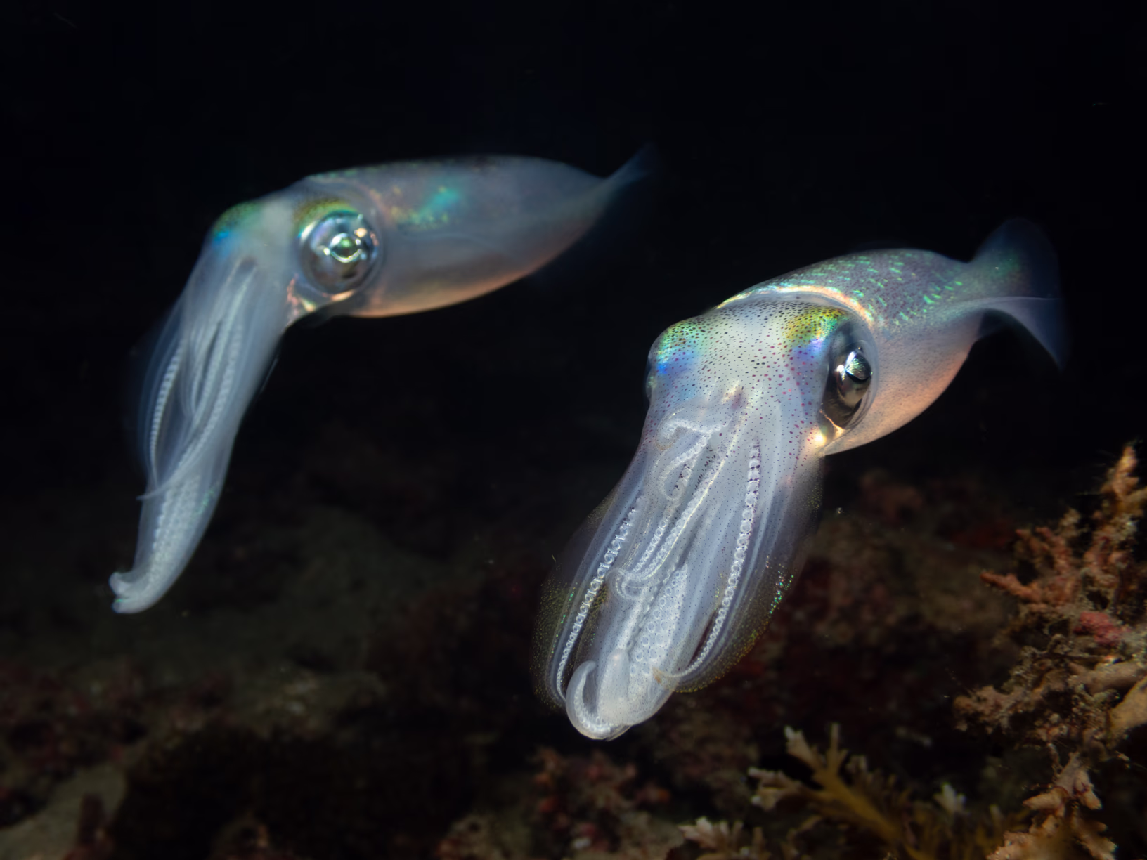 Image 6 from Philippines 2024 album