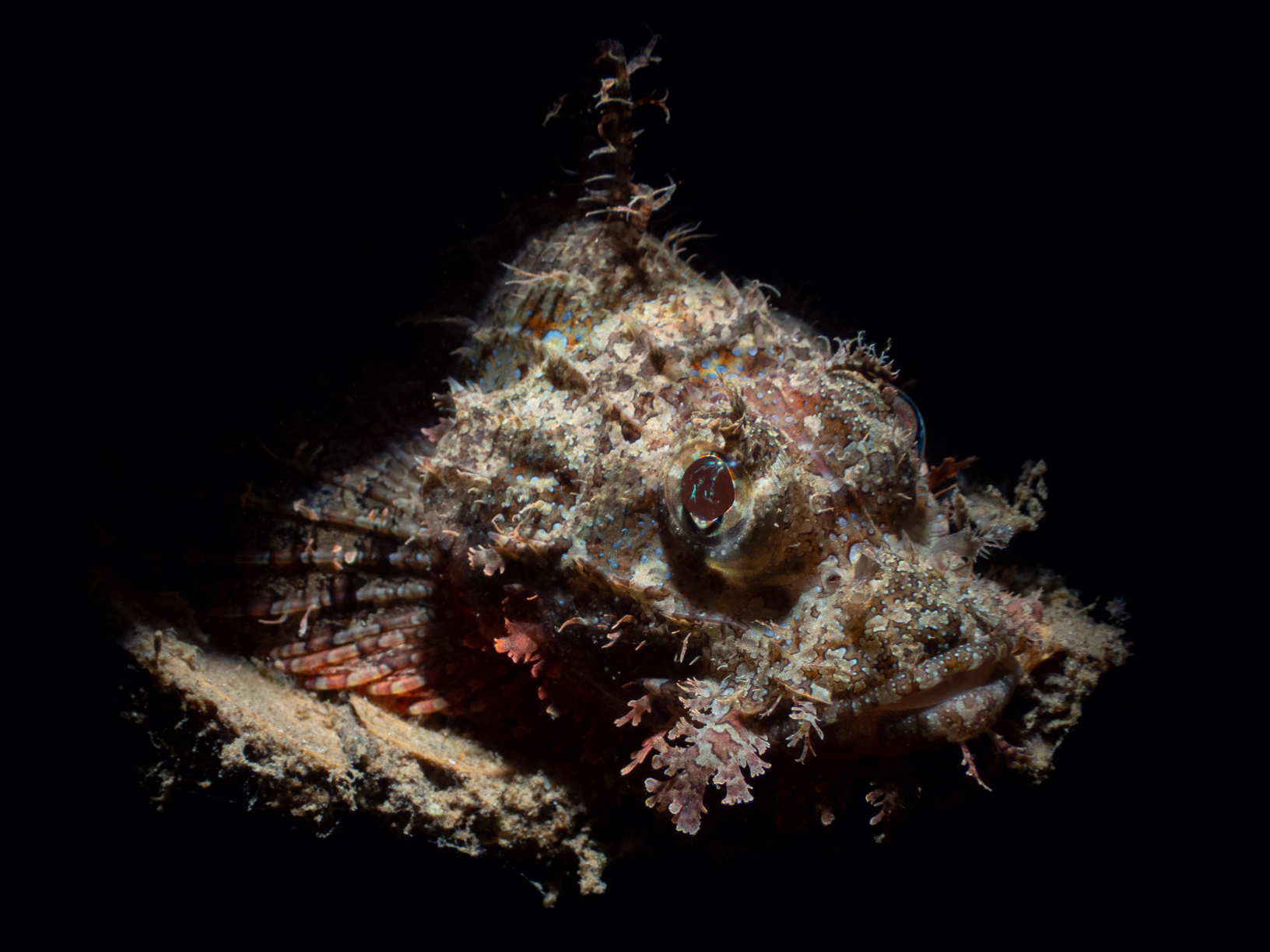 Image from Philippines 2024