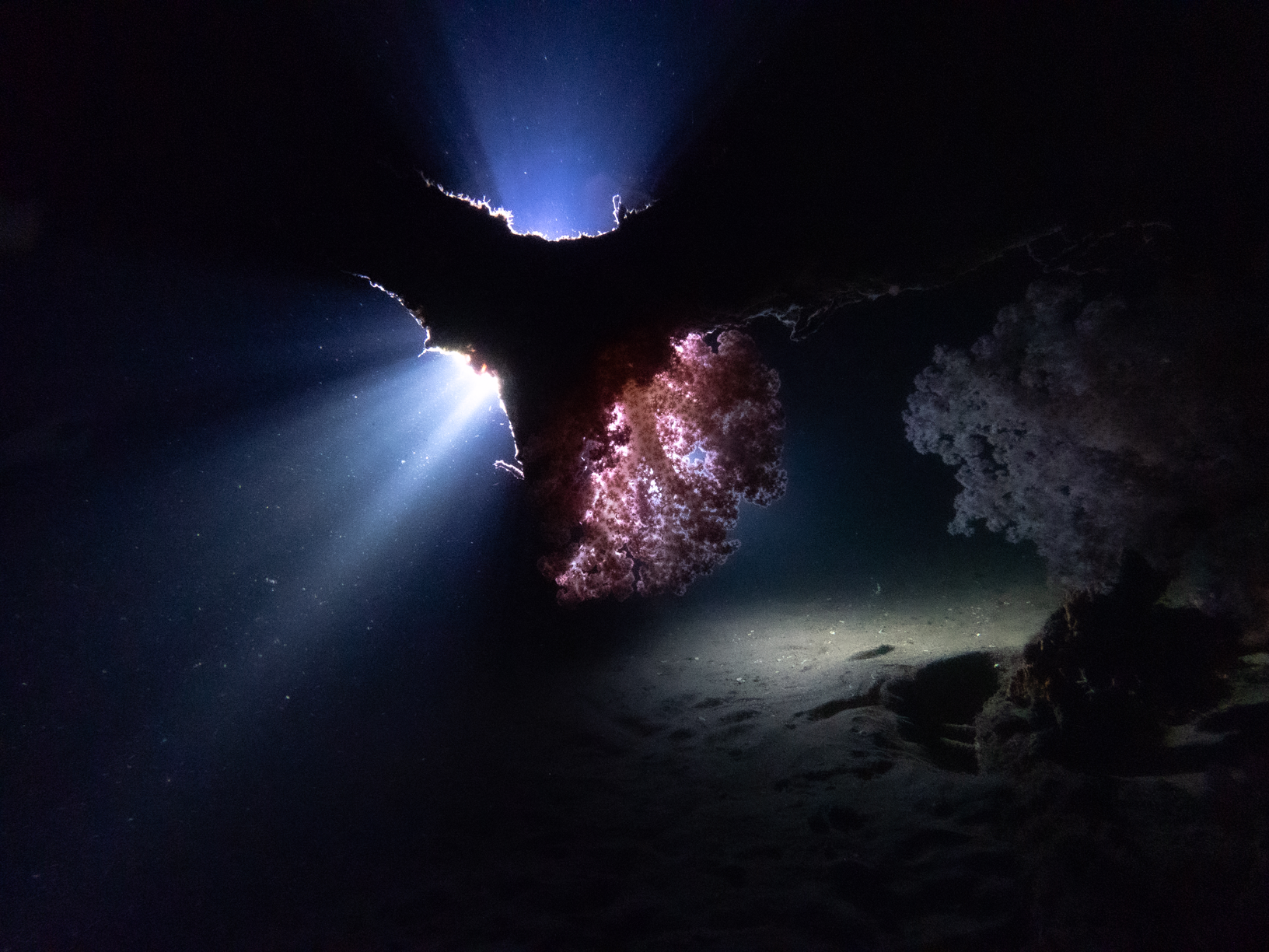 Image from Philippines 2024