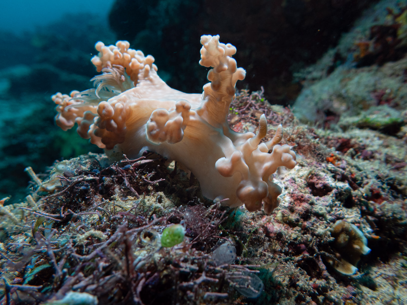 Image 1 from Philippines 2024 album