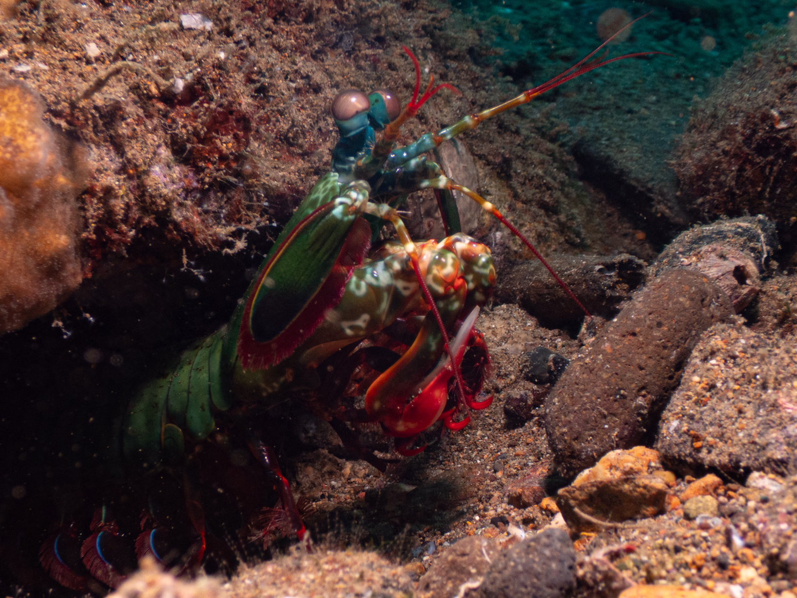 Image 9 from Philippines 2024 album