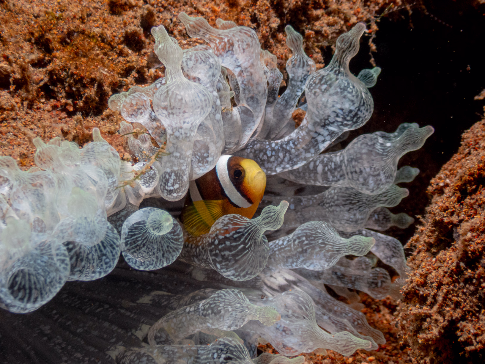 Image 10 from Philippines 2024 album