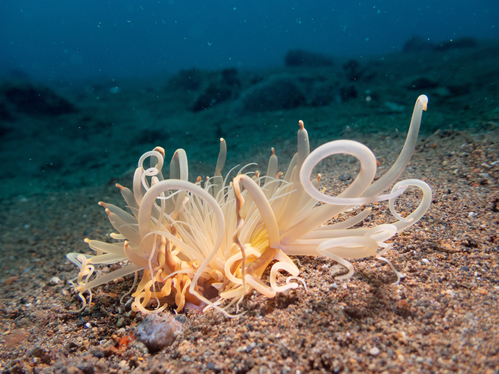 Image 11 from Philippines 2024 album