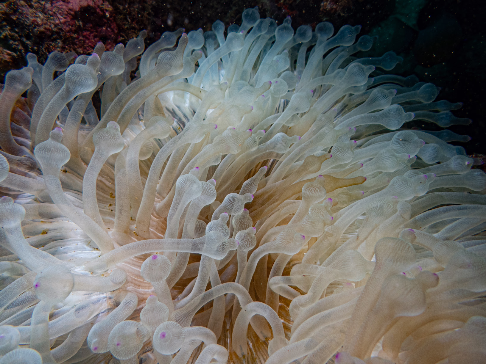 Image 13 from Philippines 2024 album