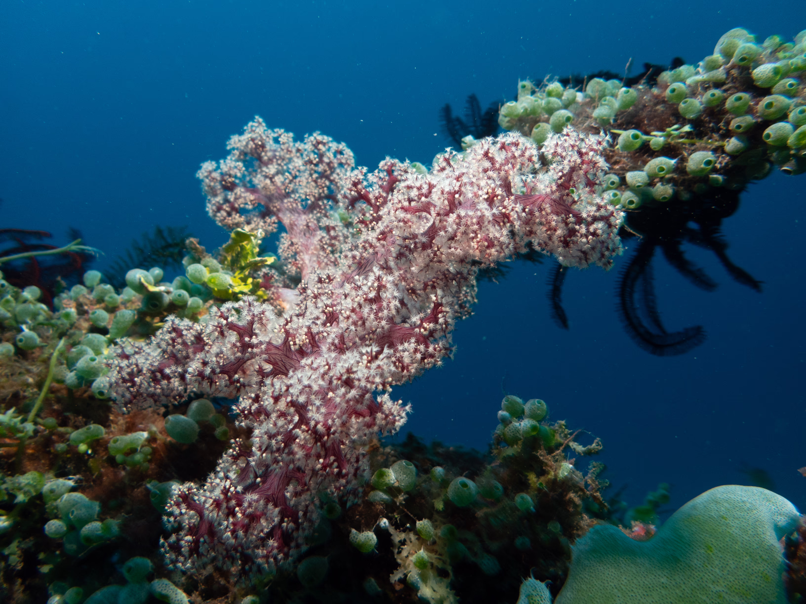 Image 18 from Philippines 2024 album