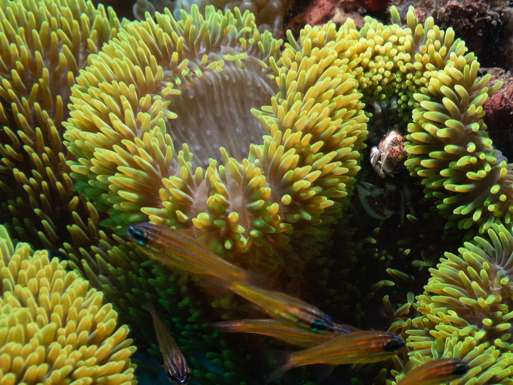 Image 19 from Philippines 2024 album